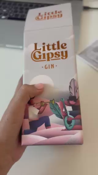 Kartonska kutija za bocu s tiskom / premium