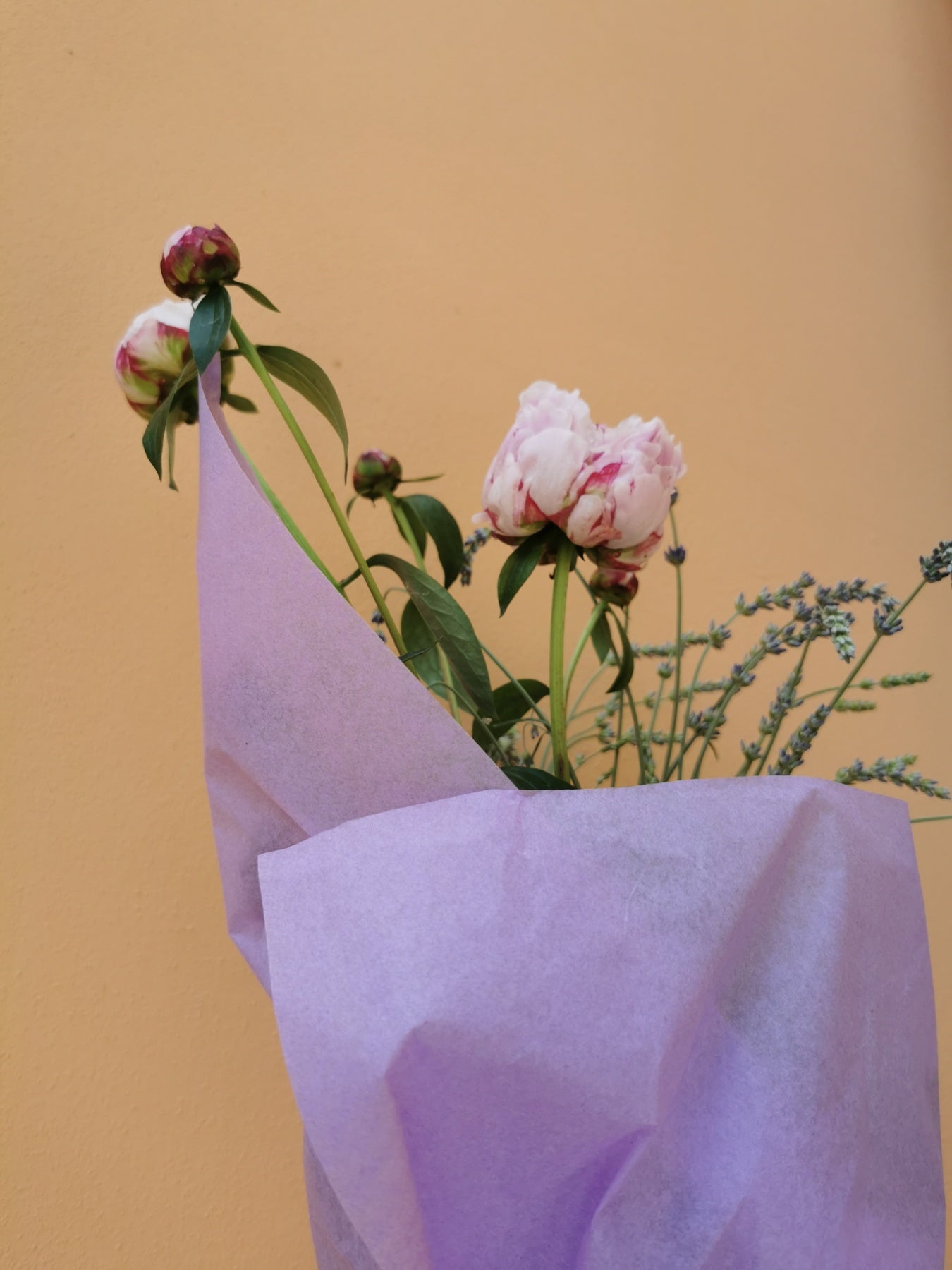 Lila papir za zamatanje  - boja lavande / 75x50 cm / 18 g/m²
